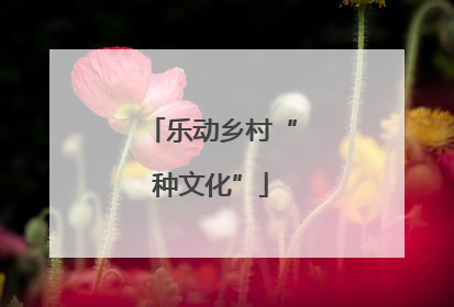 乐动乡村“种文化”